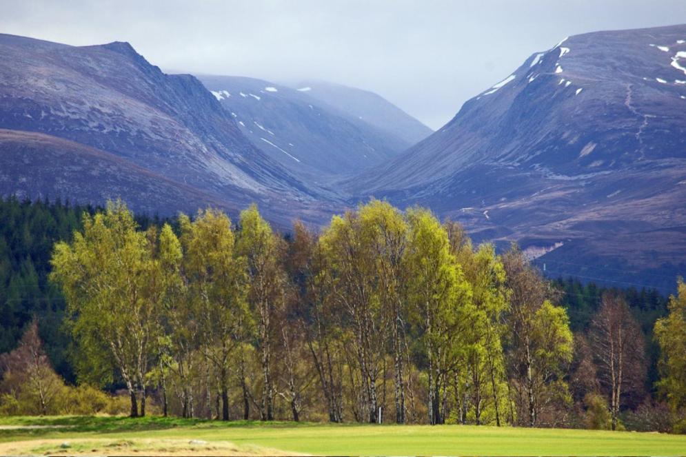 Silverglades Holiday Homes Aviemore Exterior foto